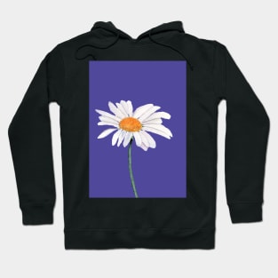 Daisy with ultra violet background Hoodie